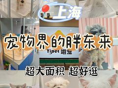 -翊宠yipet猫狗购宠庄园