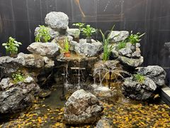 -水立方国际汤泉(六一中路店)