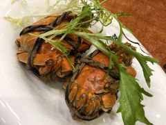-西新饭店(城中店)