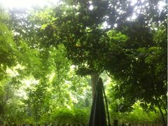 iphone_upload_pic-龙井壹号·茶缘山景宴(龙井村店)