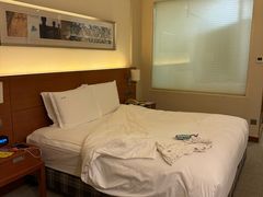 -上海浦东康桥绿地假日酒店