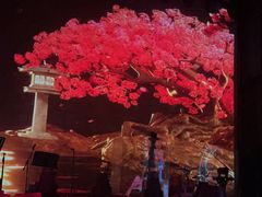 -赤红音乐现场(浦东金桥路店)