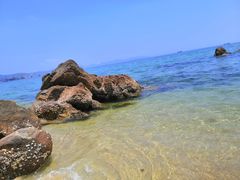 -玫瑰海岸文化旅游度假区