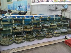 水产区-烁佳海鲜大馅饺子