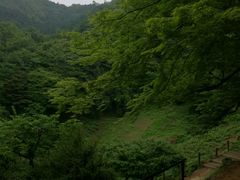 -岚山猴子公园