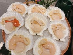 大扇贝-官也街澳门火锅(新源里店)