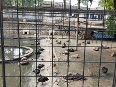 -保定市动物园
