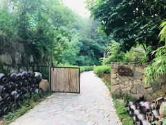 -远山有窑