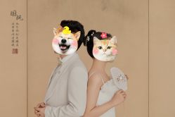 -蒙太奇婚纱摄影(万达店)
