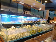 -苏格里岛·自助烤肉·火锅海鲜(金鼎广场店)