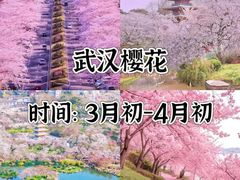 -伊犁河风景区