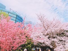 -北外滩滨江绿地