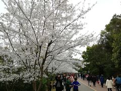 -团城山公园