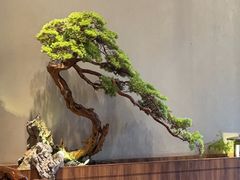 -海门鱼仔·潮汕味(燕岭店)