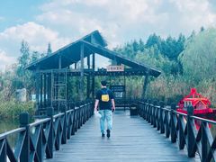 -溱湖国家湿地公园