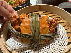 -杨氏青龙虾·羊蝎子(托乐嘉店)