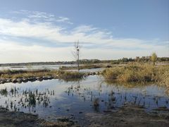 -绿堤公园