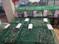 -荔城生鲜盛宴(番禺旗舰店)