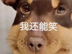 -小木屋拌饭(西安华阳城店)