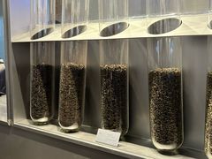 -喜茶(上海打浦桥日月光gelato lab+店)