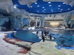 -上海海昌海洋公园-停车场