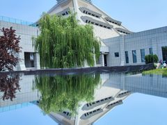 -河南博物院