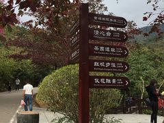 -清溪森林公园