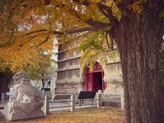 -北京石刻艺术博物馆(五塔寺)