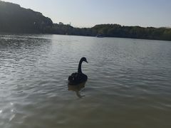 -昆山城市生态森林公园