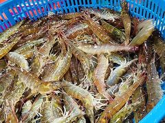 -王四营海鲜市场