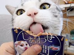 -袖虎宠物(锦绣生态园店)