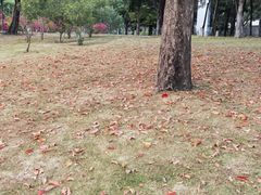 -深圳湾公园(南山区)