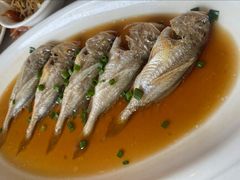 -华盛丰温州大排档(东三环南路店)