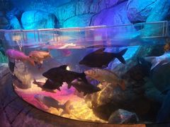 -沈阳海洋探索中心