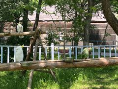 -哈尔滨北方森林动物园