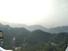-大金鹰园