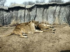 -北京野生动物园