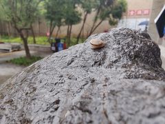 -西安关中民俗艺术博物院