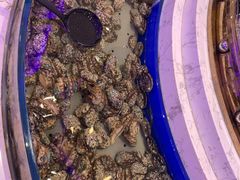 -澜悦港海鲜体验主题餐厅