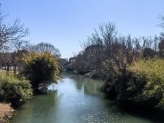 -贡湖湾湿地公园