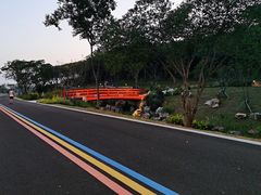 -羊山湖公园