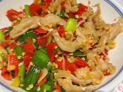 -壹盏灯(惠农店)