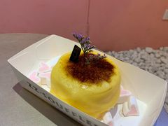 -狐狸和向日葵(北京路店)
