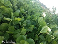 -大理国际奥林匹克体育中心