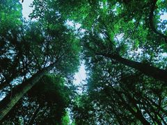 -天花井景区