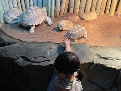 -南昌海洋公园