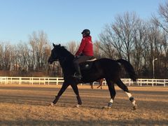 -月河湾马术俱乐部(朝阳店)