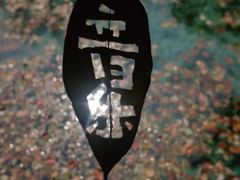 -江山万里