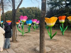 -洛阳市隋唐城遗址植物园