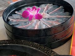 -七秒鱼·斑鱼火锅(太阳城店)